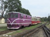 Vlak s lokomotivou T 47.019 v čele vyjíždějící z nádraží v Kamenici nad Lipou. Autor: Harold.